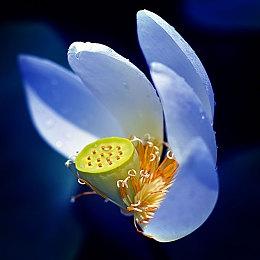 顽皮狗开发者：《最后的生还者》PS3版无法与PS5版相提并论